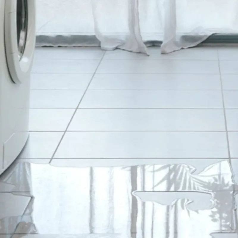 Appliance Leak Cleanup in Windsor, WI