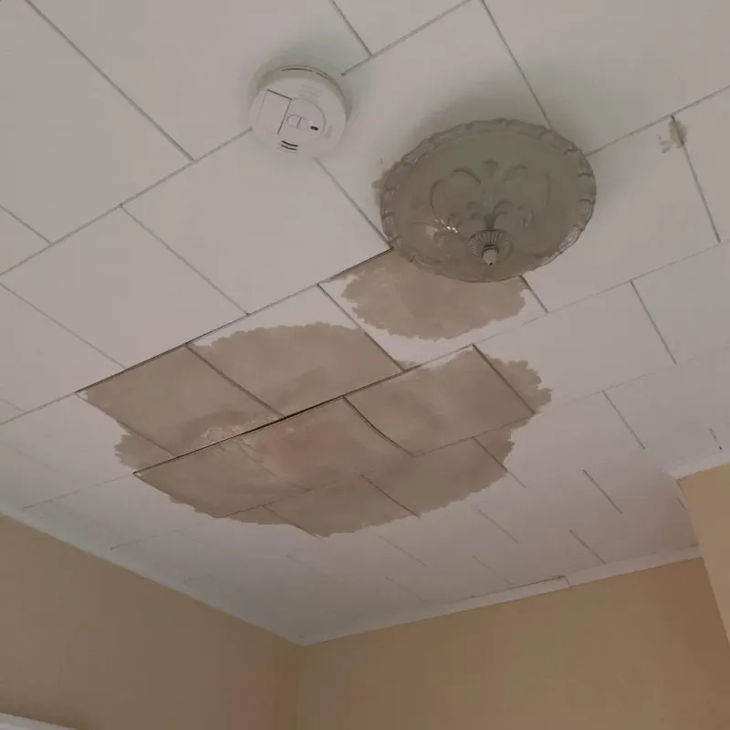 Ceiling Water Damage Repair in Windsor, WI